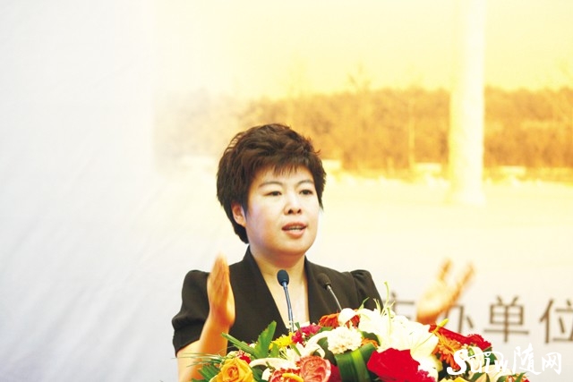 2011ЇS׵Ļ߶ՓvժҪ