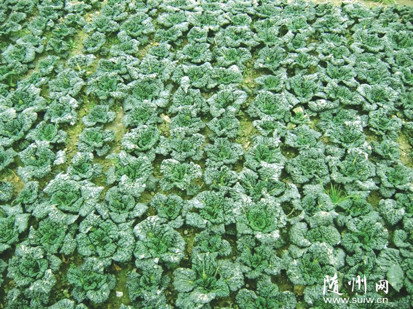 ׌Sࡰߡøhδ쾫Ʒ_lط߲Ʒ