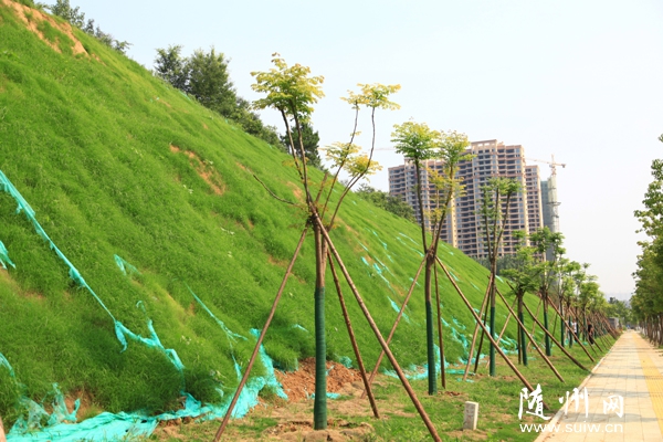 ɽ·һɫSе·OcBޏͲ