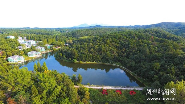 ɽ(zhn):n҈@ O˾ӳ(zhn)