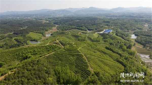 ɽh(ni) dʳƷ(sh)(xi)Sݲ~ڡԒ(hu)