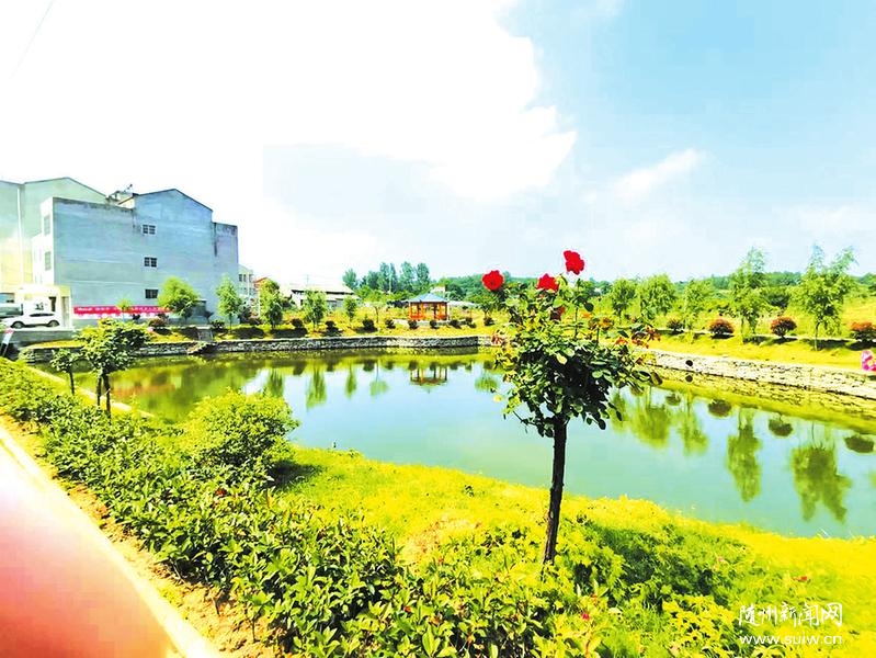 ɽGˮЦ_ ̽LVˮкµl彨O