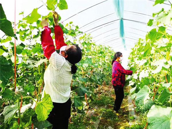 f(wn)(zhn)СӜϴ壺߲˹˾񱼸·