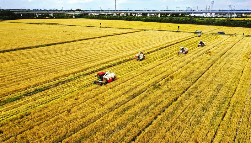 Ua ^ Ʒ SݴȫʡҪă|ZͮaIȺ̽L