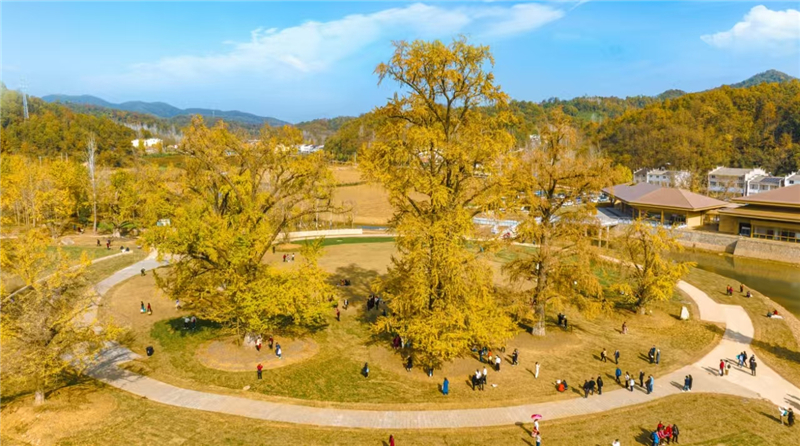 hЅ^(q)ίӛLՄ𩣺(du)(bio)(du)ȫ(gu)ُ(qing)ȫl(f)չ|(zh)Ч ȫи|(zh)l(f)չ^Ӳ֧