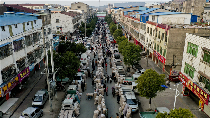 |lչСSݣ1|㹽˄12|aֵ