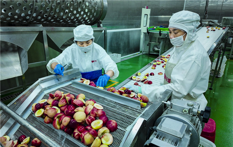 |lչСY2|Ԫ¬FrIġС֘ӱ