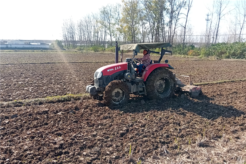 (zhn)M(fi)ʹ򹤼ͥNͲ